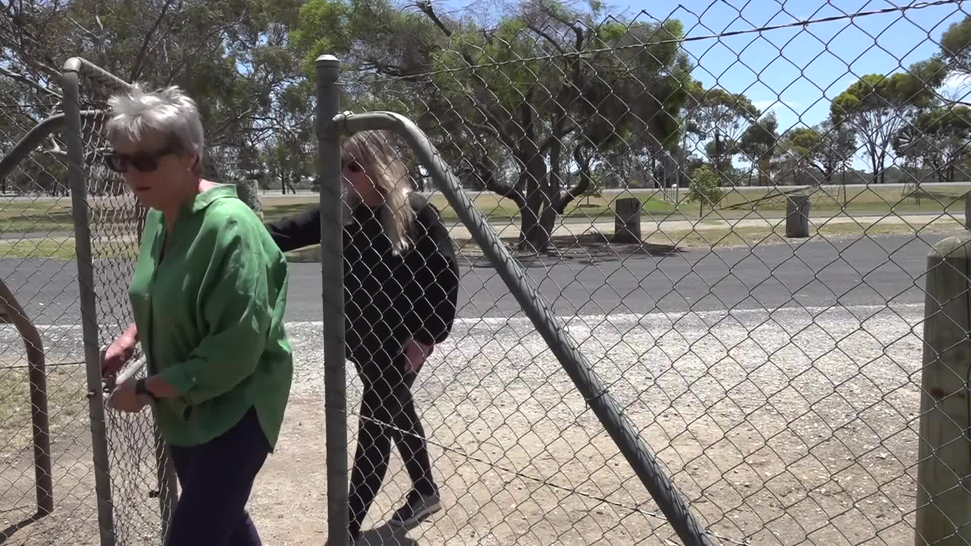 White and grey kangaroos to be sold to prevent overcrowding at ...