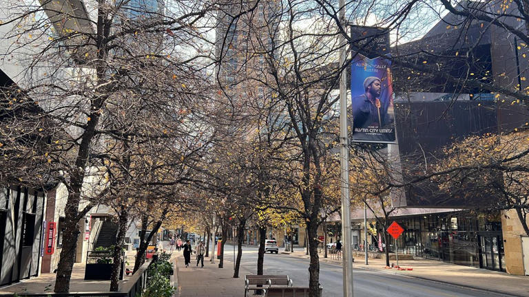 Iconic Texas artists showcased on new downtown Austin banners