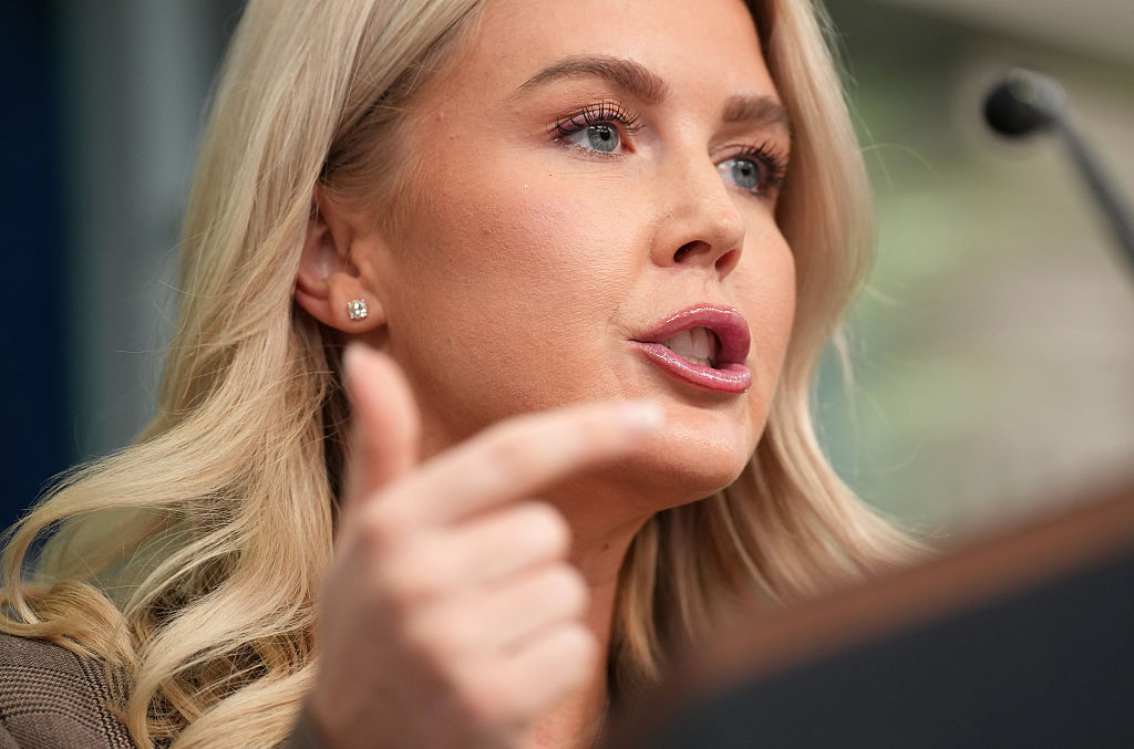 ICE detainee’s ties to Leavitt draw scrutiny<br>