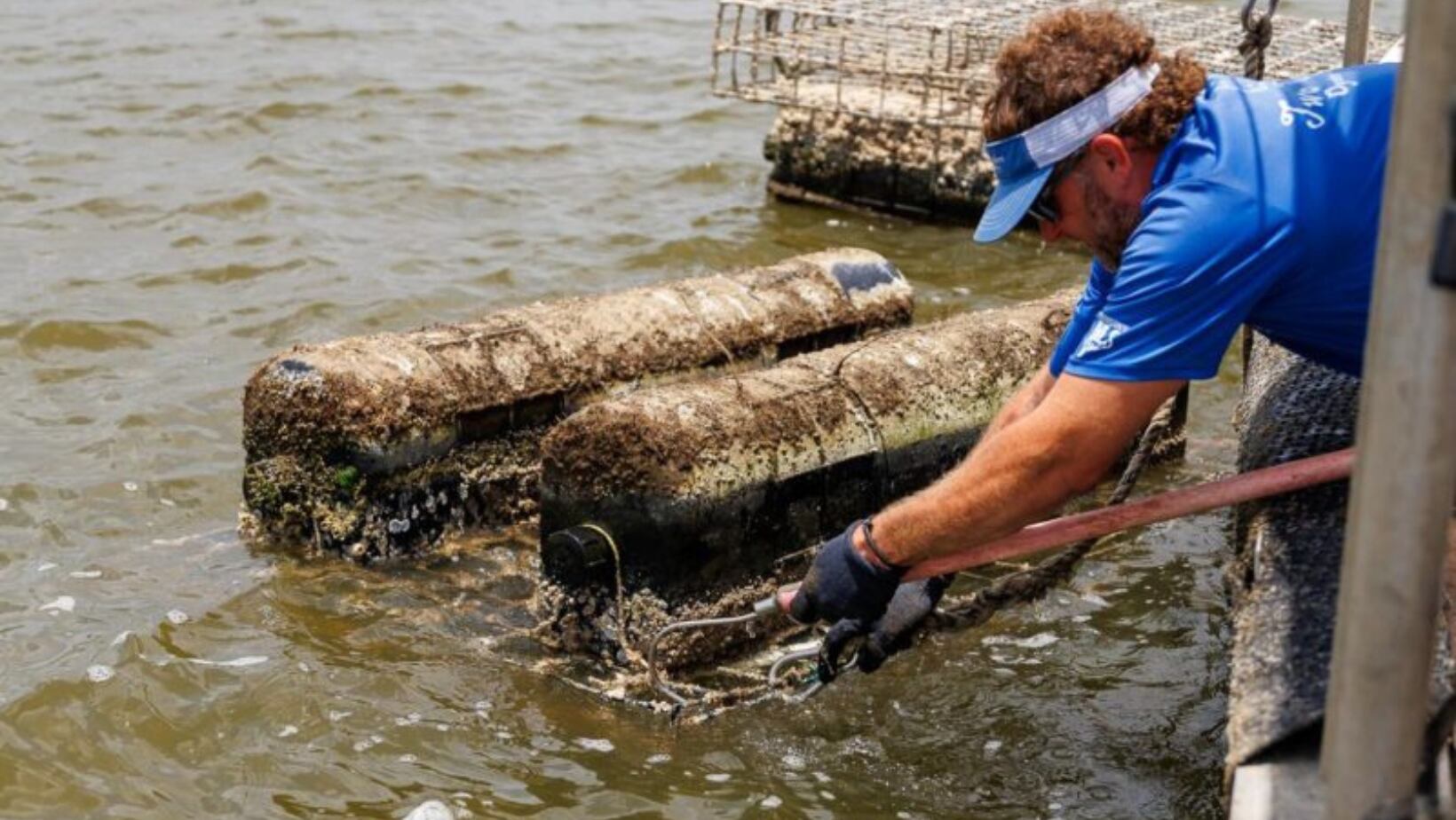 Seafood farmers say federal red tape stalls industry growth
