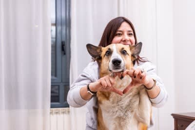 犬が日常で『幸せ』だと感じる5つの瞬間 幸福感が高まっているときにみせる行動とは？