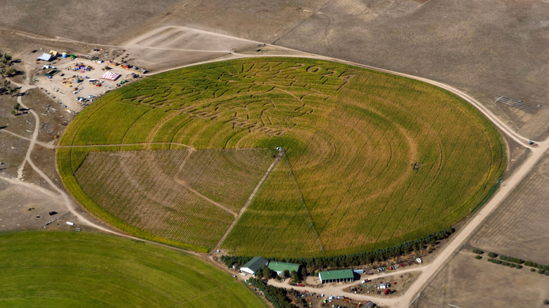 Nestled outside Denver is this affordable Colorado gem offering farm ...