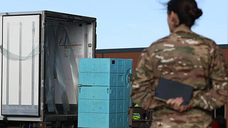 France deploys armed forces to fight cattle disease outbreak