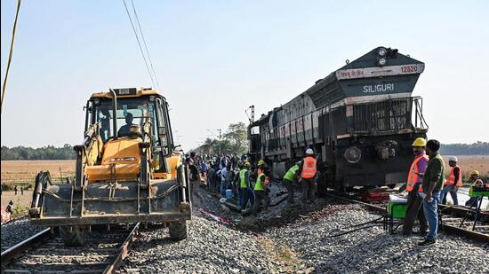 Assam train accident: Rescued newborn elephant calf succumbs to injuries