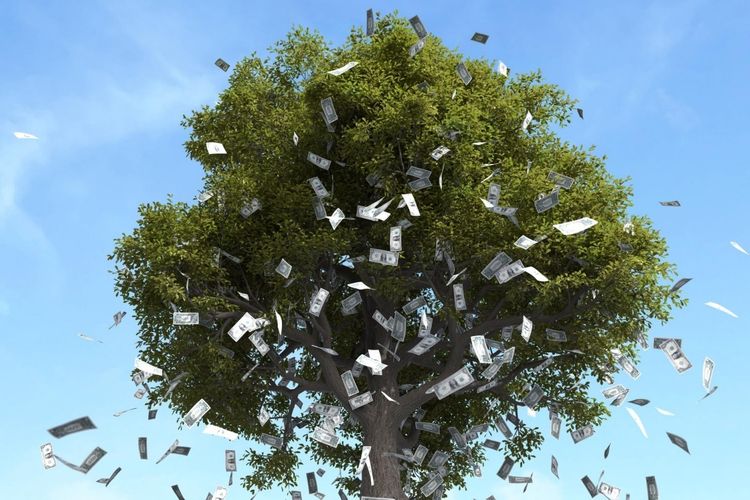 Empat Shio yang Harapan Mereka Terwujud Akhir 2025