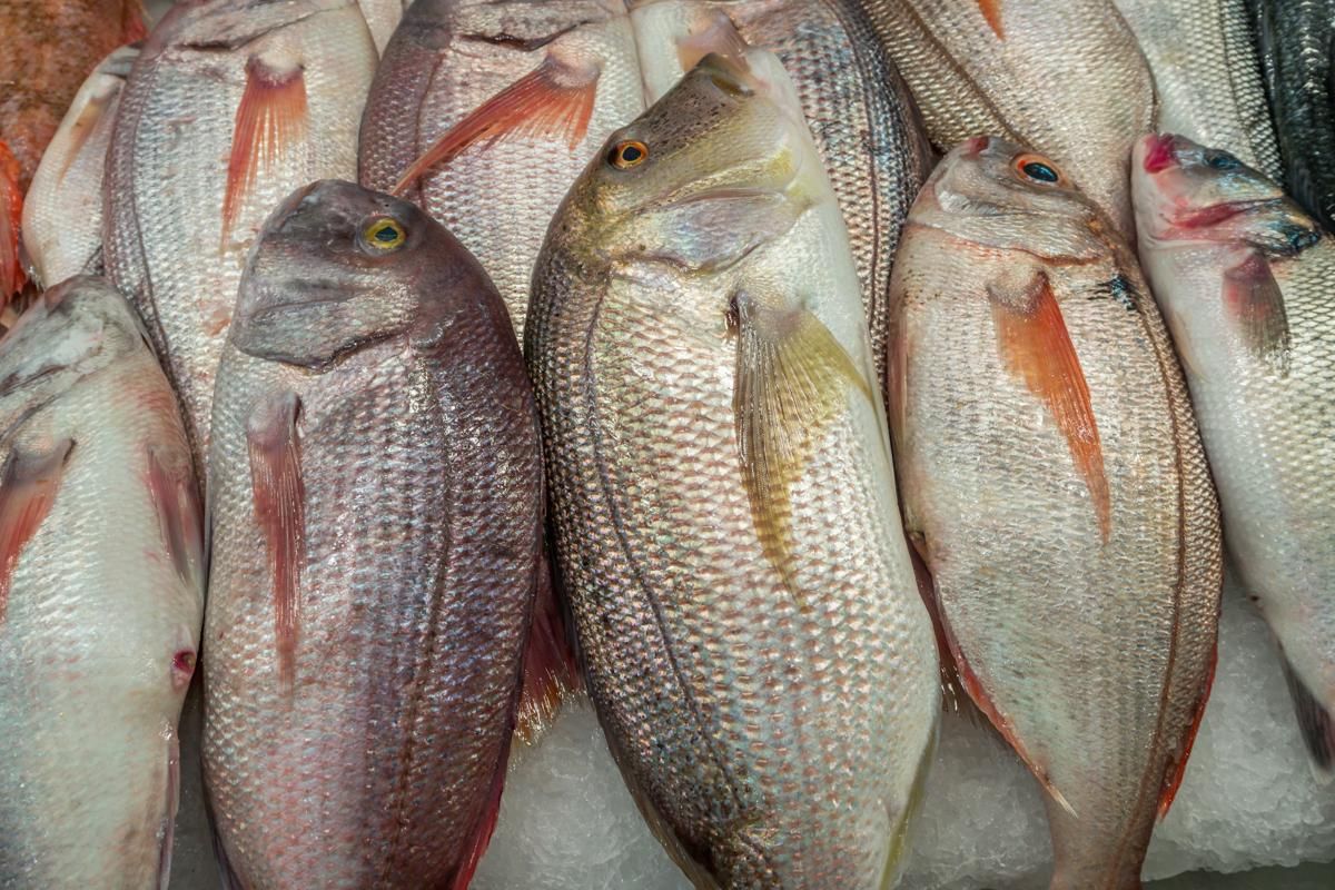 Hari Ibu: KemenPPPA Tingkatkan Ekonomi Perempuan Pesisir Muara Angke