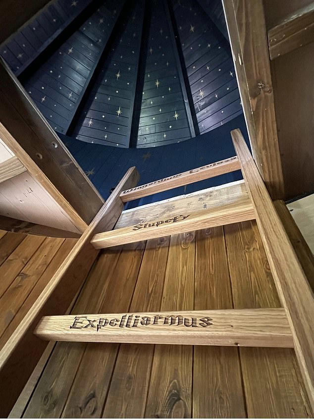 Woman ordered to rip down giant Harry Potter tree house at £1.2m ...