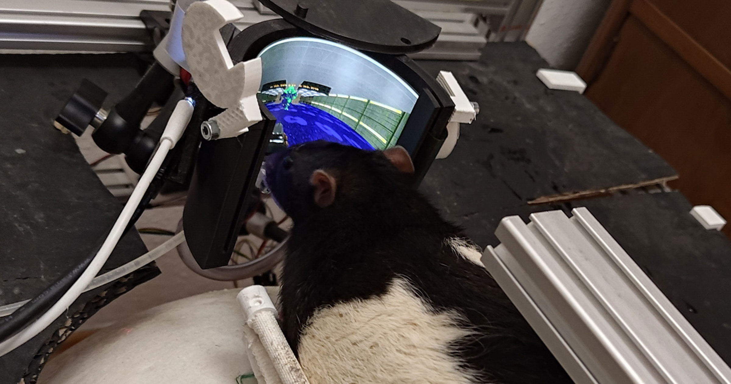 Rats successfully trained to shoot demons in “Doom”