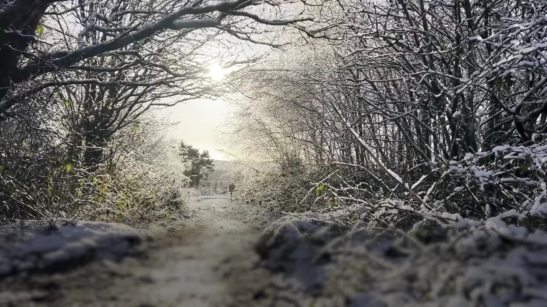 Chilly Christmas for most with 'just a chance' of snow in south, Met ...