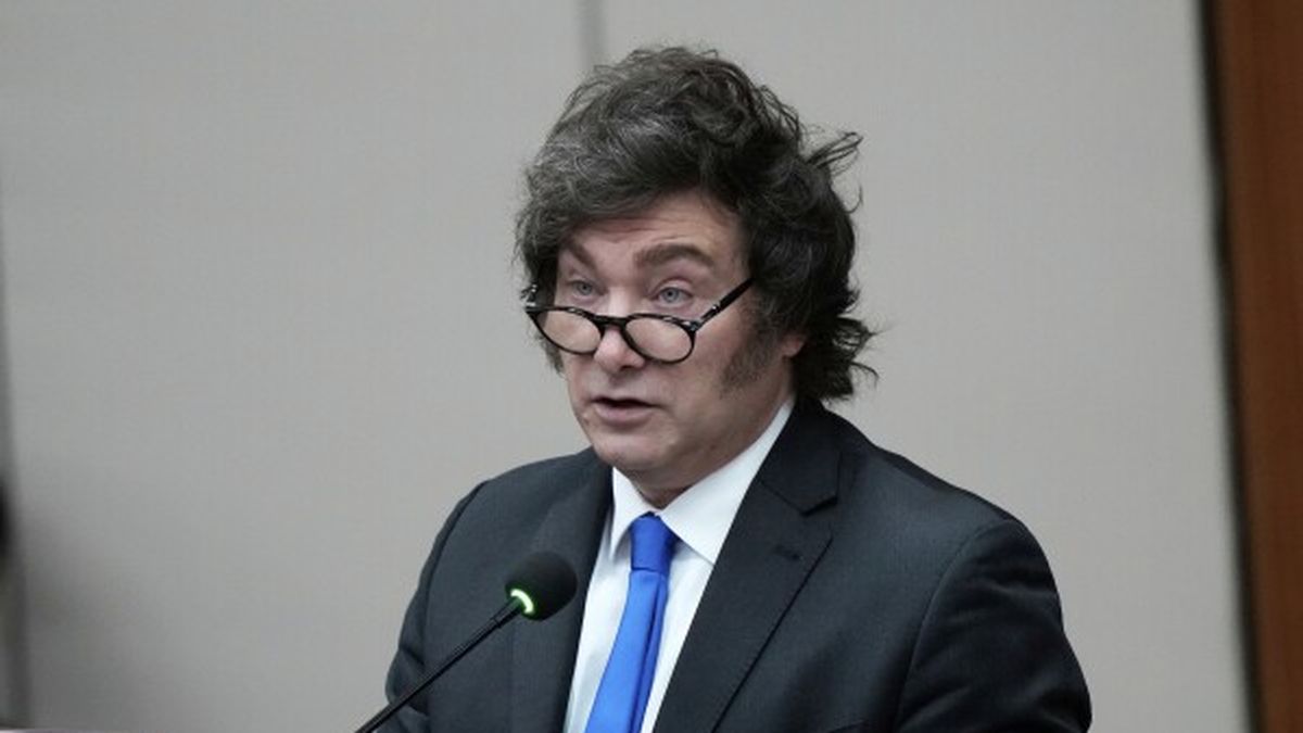 Milei aseguró que no vetará el presupuesto 2026 y anticipó ajustes en ...