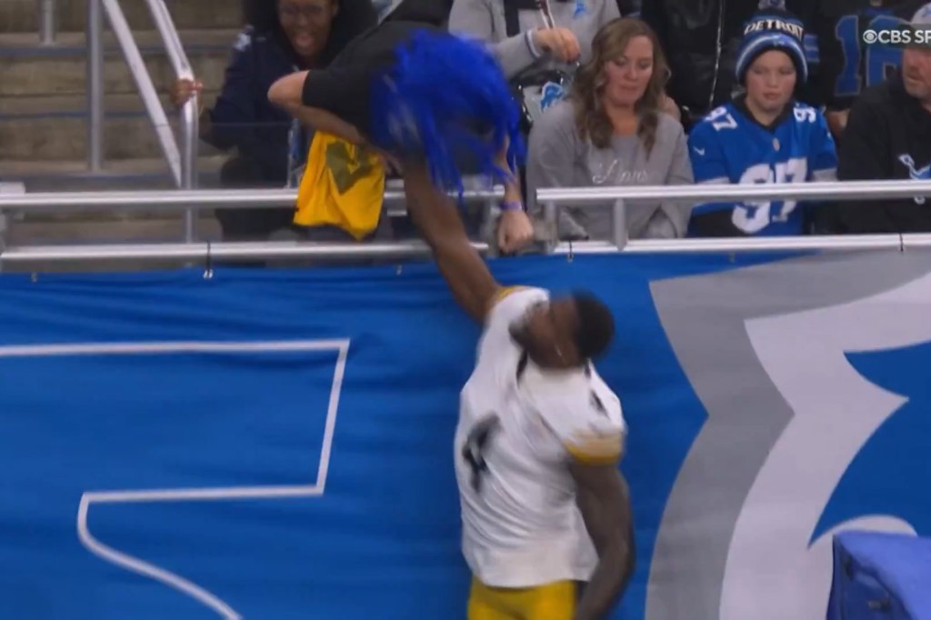 Steelers' DK Metcalf appears to strike Lions fan in stands during wild  altercation
