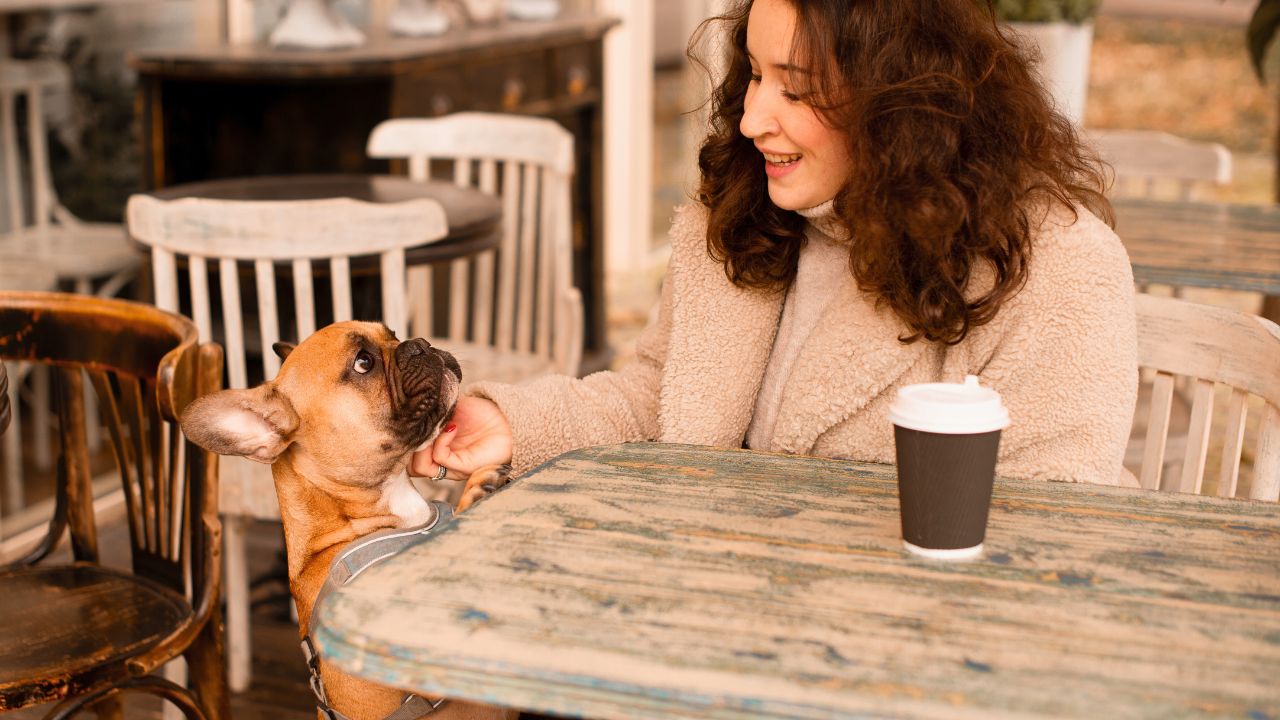 ‘I Do Not Hate Dogs, But…': Customer Revolted by Pets Eating Off Cafe Tables