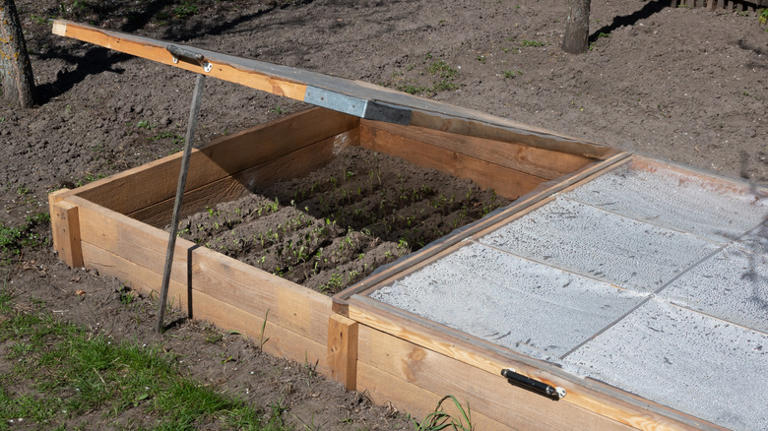 Cold frames or hoop tunnels: Which is best for protecting your plants ...