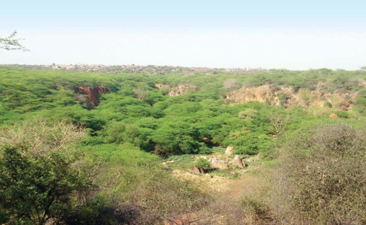 Pollution, flood, water crisis: Environmentalist on top court's ...