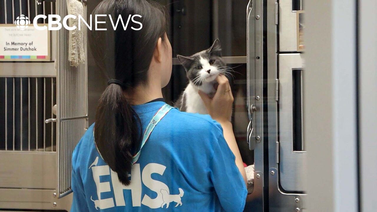 Edmonton Humane Society receives national accreditation