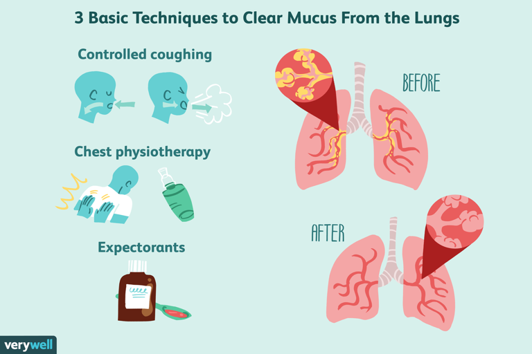 How to remove mucus from the lungs naturally