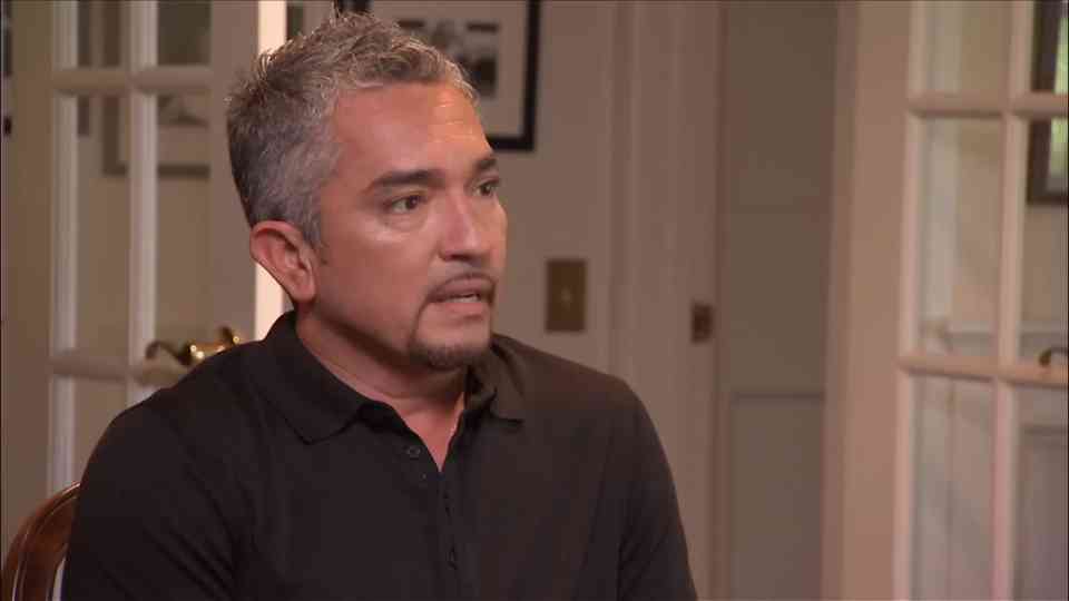 Self-imposed prison 💔 The dog who hides | Dog Whisperer with Cesar Millan  | Watch
