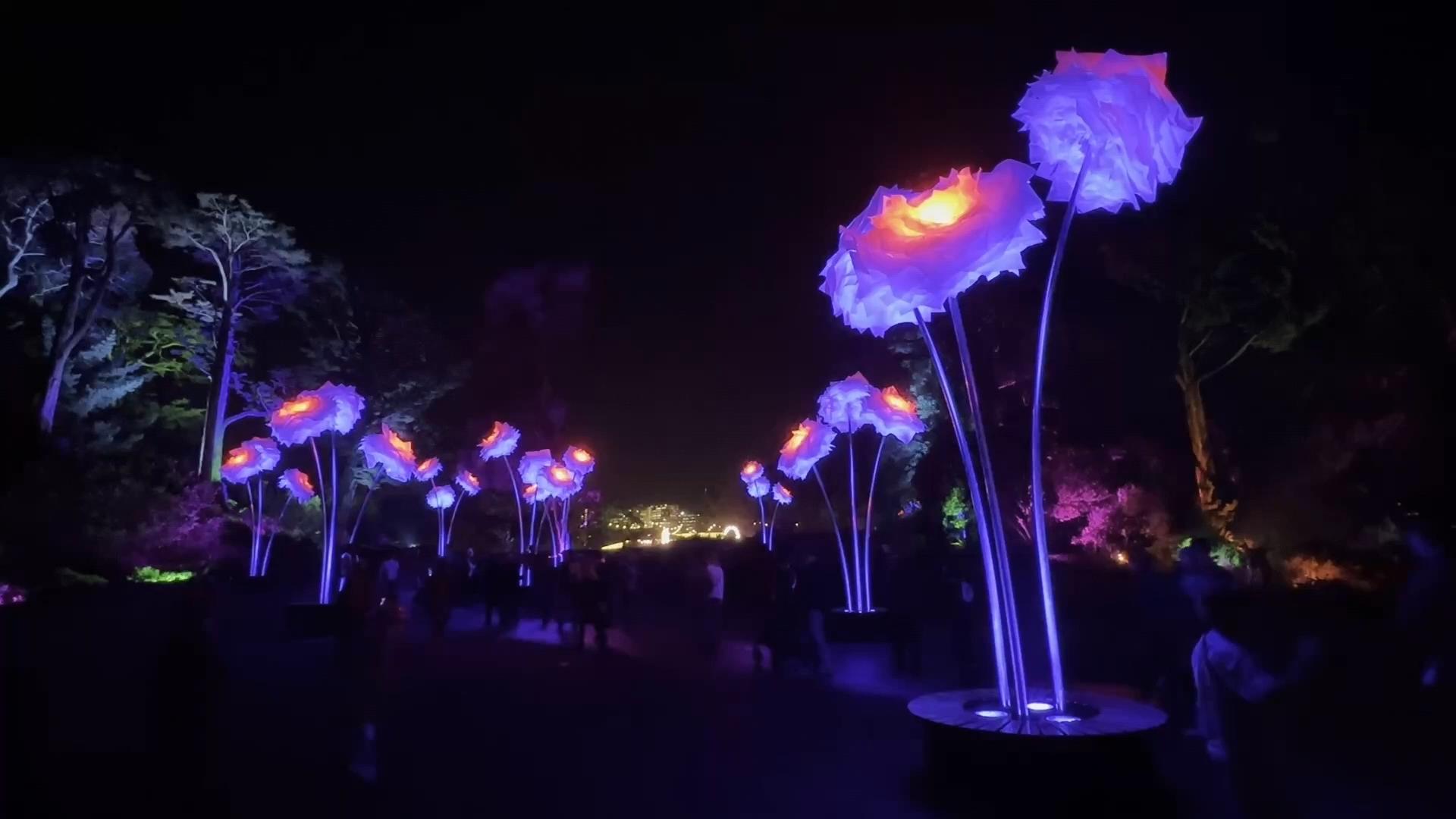 Lightscape art installations draw nightly crowds to San Francisco's ...