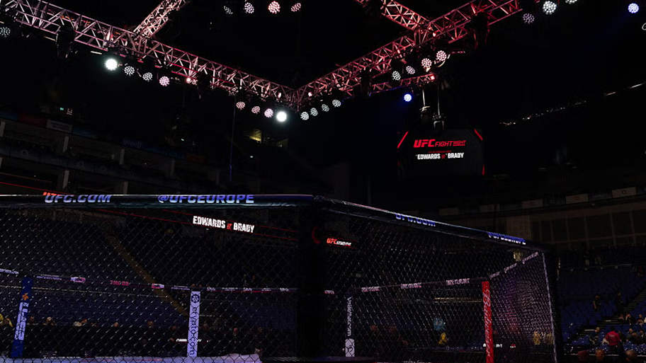 ufc octagon