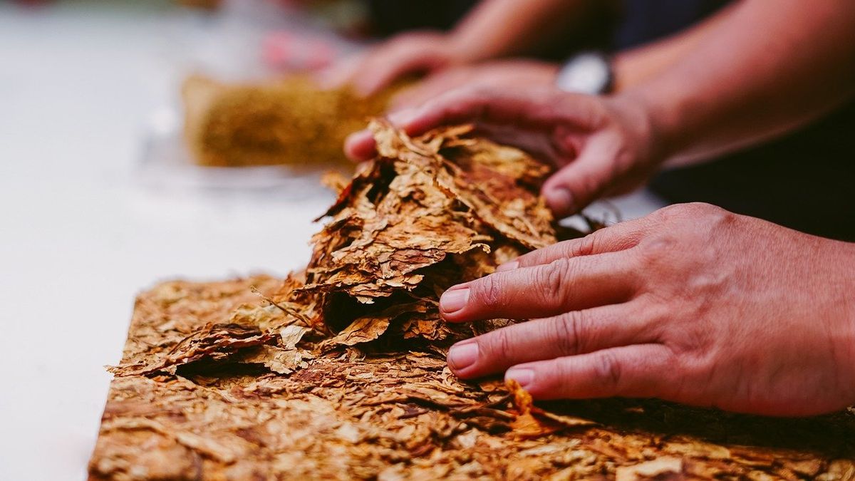 Perbedaan Pajak Rokok dan Cukai Tembakau
