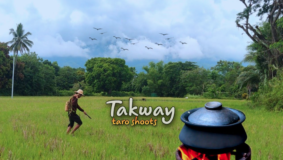 The simple life: Cooking taro shoots with dried fish and camias in the ...