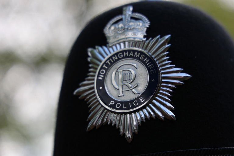 Suspect arrested after string of Eastwood burglaries