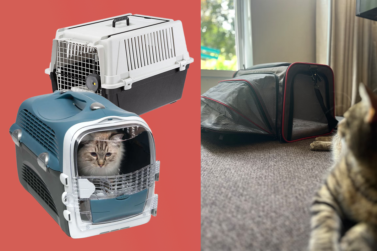 Gallery Detail: Best Cat Carriers 2025 Reviewed By Pet Owners