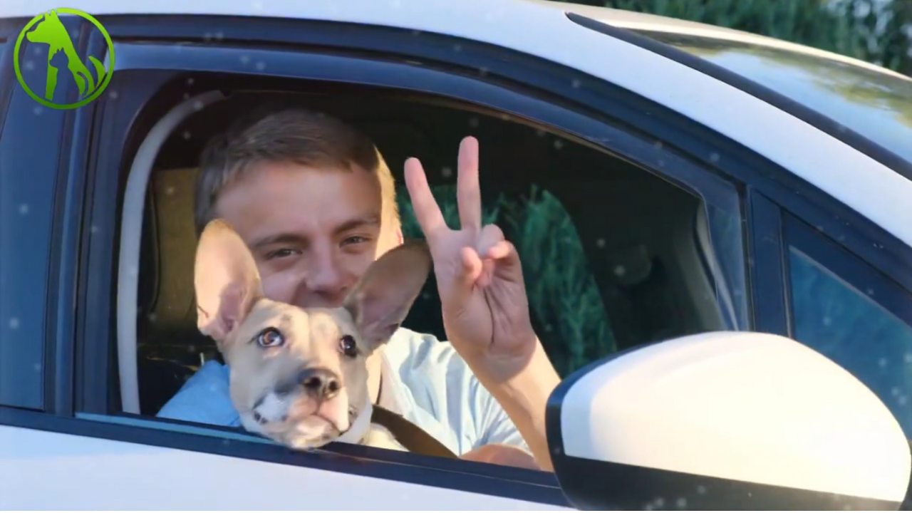Stolen dog reunites with his loving dad after heartbreaking separation