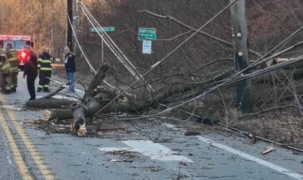 Woman killed after tree crashes onto couple's car in Allegheny County