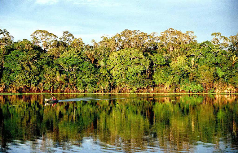 the-amazon-rainforest-is-entering-a-scary-new-phase-called-a