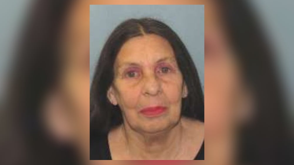 Endangered missing adult alert canceled for Champaign County woman