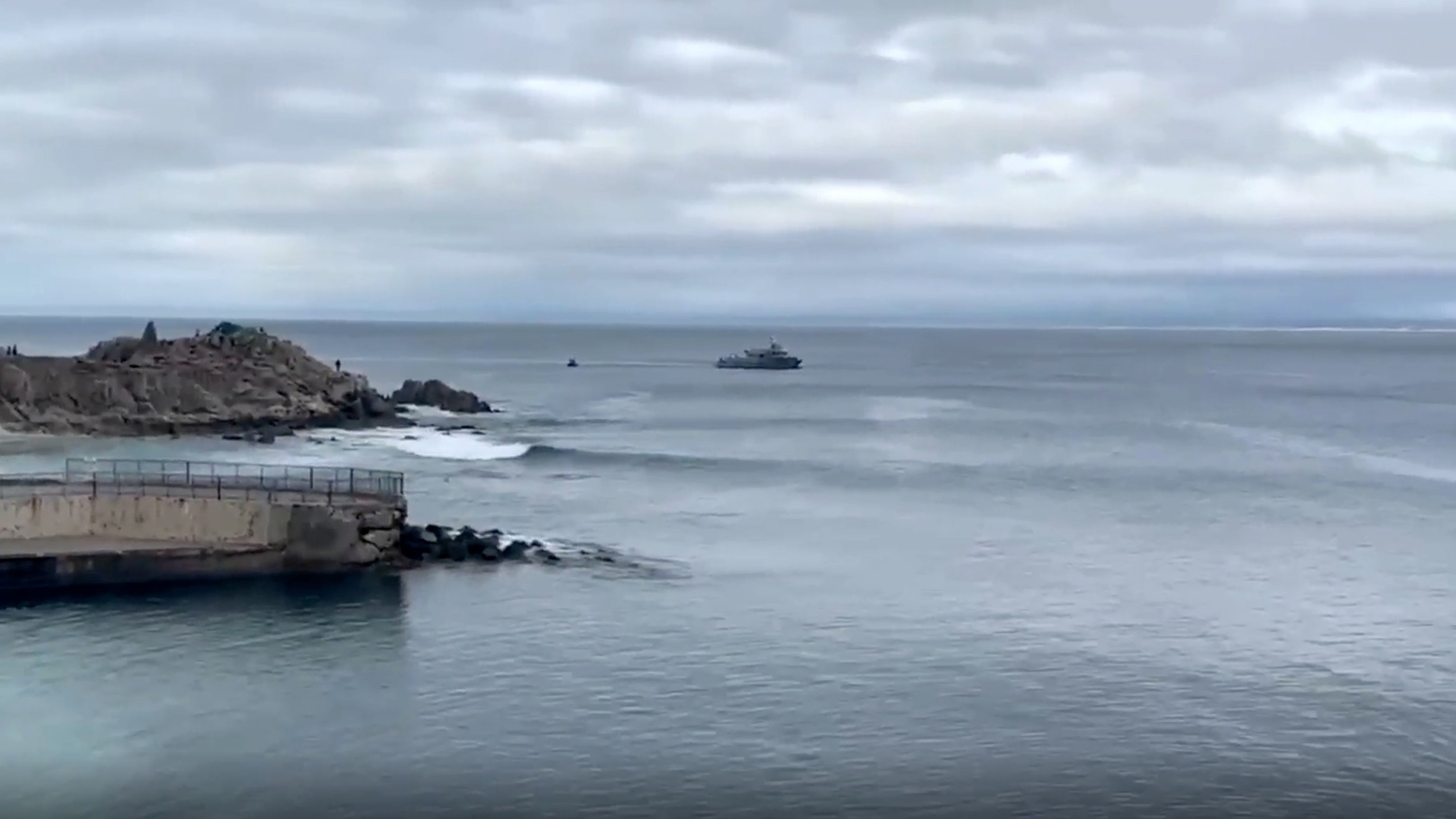 Search for missing swimmer suspended; witness saw shark with body in its mouth<br><br>