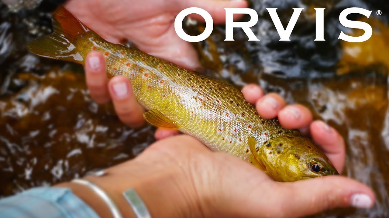 Fly fishing for trout & building rods at Orvis HQ
