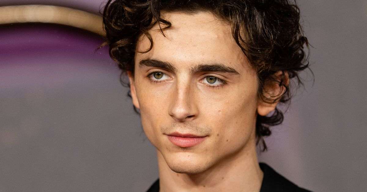 Timothée Chalamet smentisce i rumours: non è l’attore a celarsi dietro ...