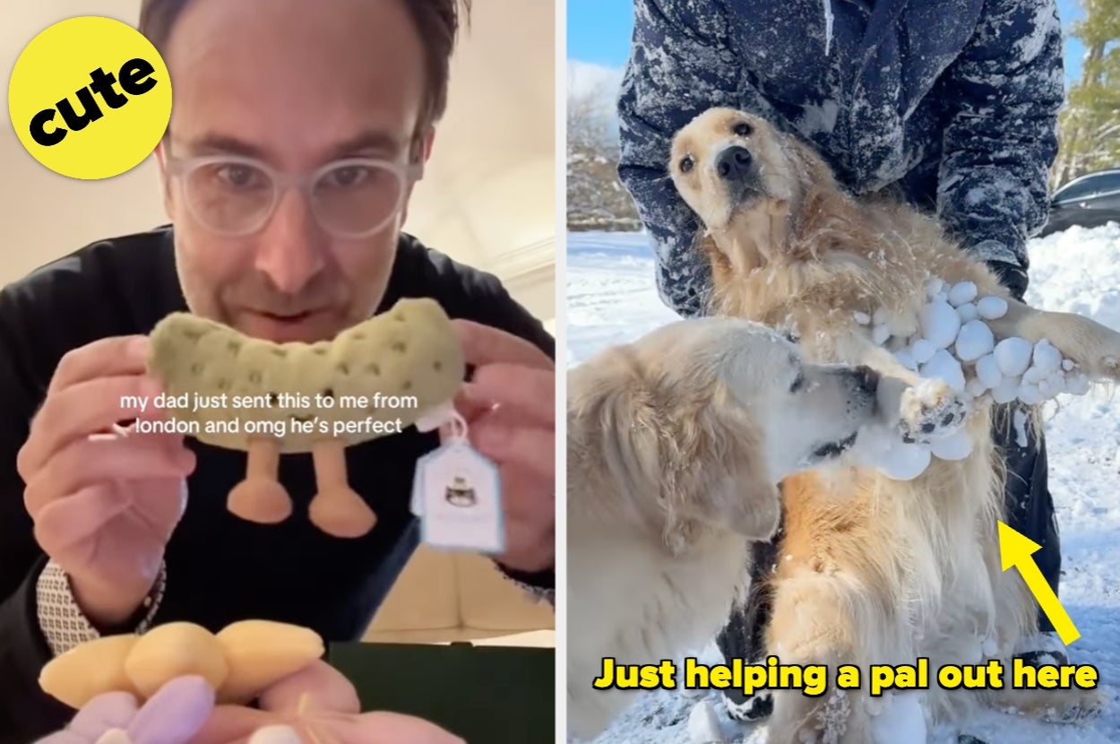 20 Wholesome Posts That Prove Humans Are Trying, And Honestly It Got To Me