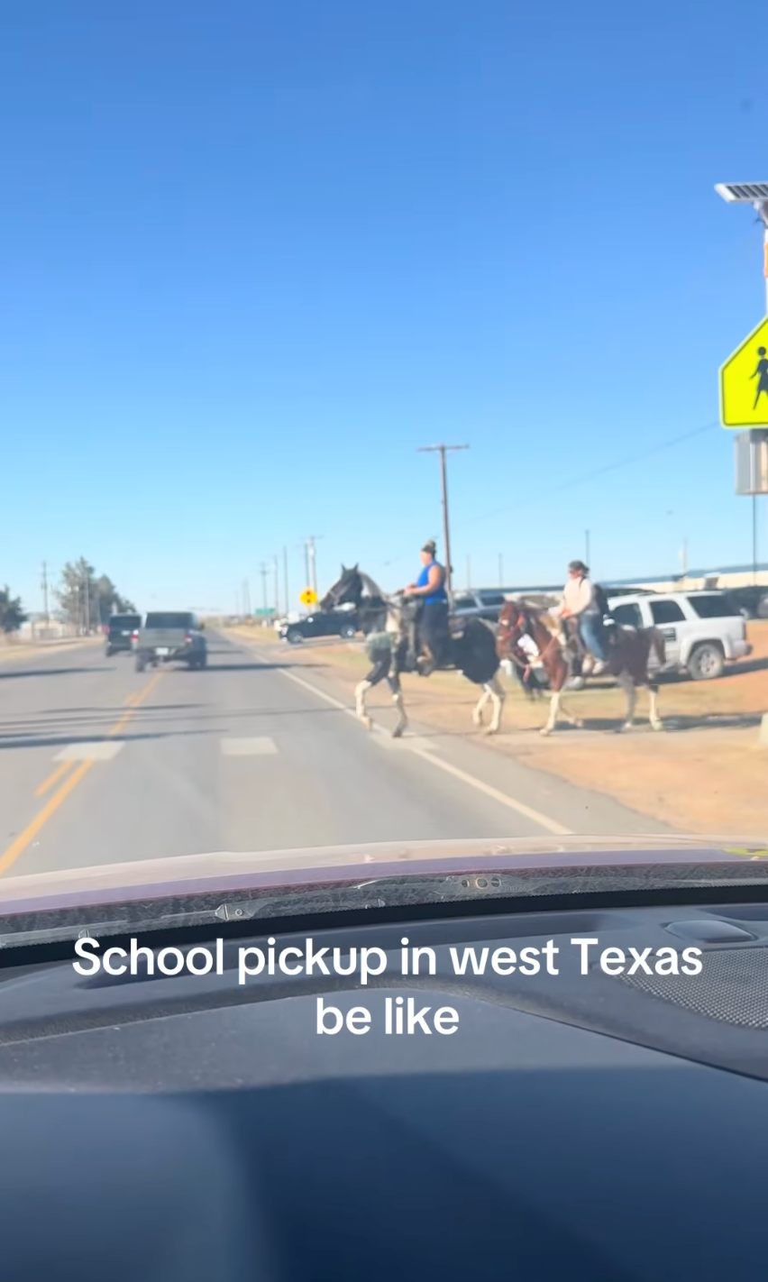 People on horseback next to a road with cars, captioned