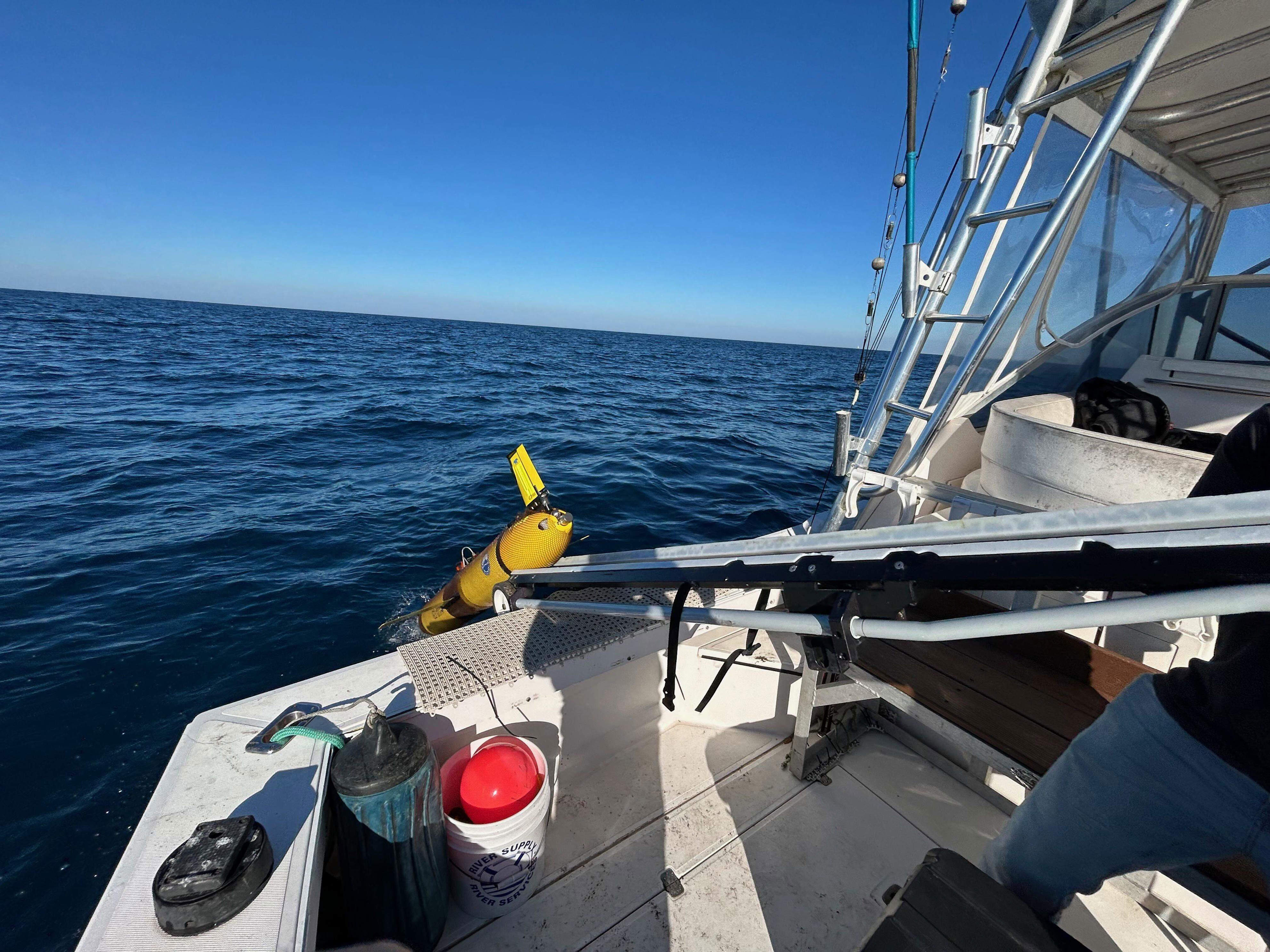 A torpedo-lake glider, a device that moves through the water, is used to track the whereabouts of right whales, rare animals that give birth off the Carolina, Georgia and Florida coast each winter. Researchers from the universities of Georgia and South Carolina launched the glider in December 2025 to begin looking for whales so that boaters can be warned the animals are in the area. Boat strikes are one of the leading causes of death for right whales.