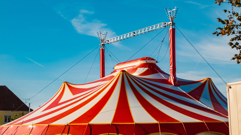 circus-inspired-decor-is-pinterest-s-2026-trend-yes-really