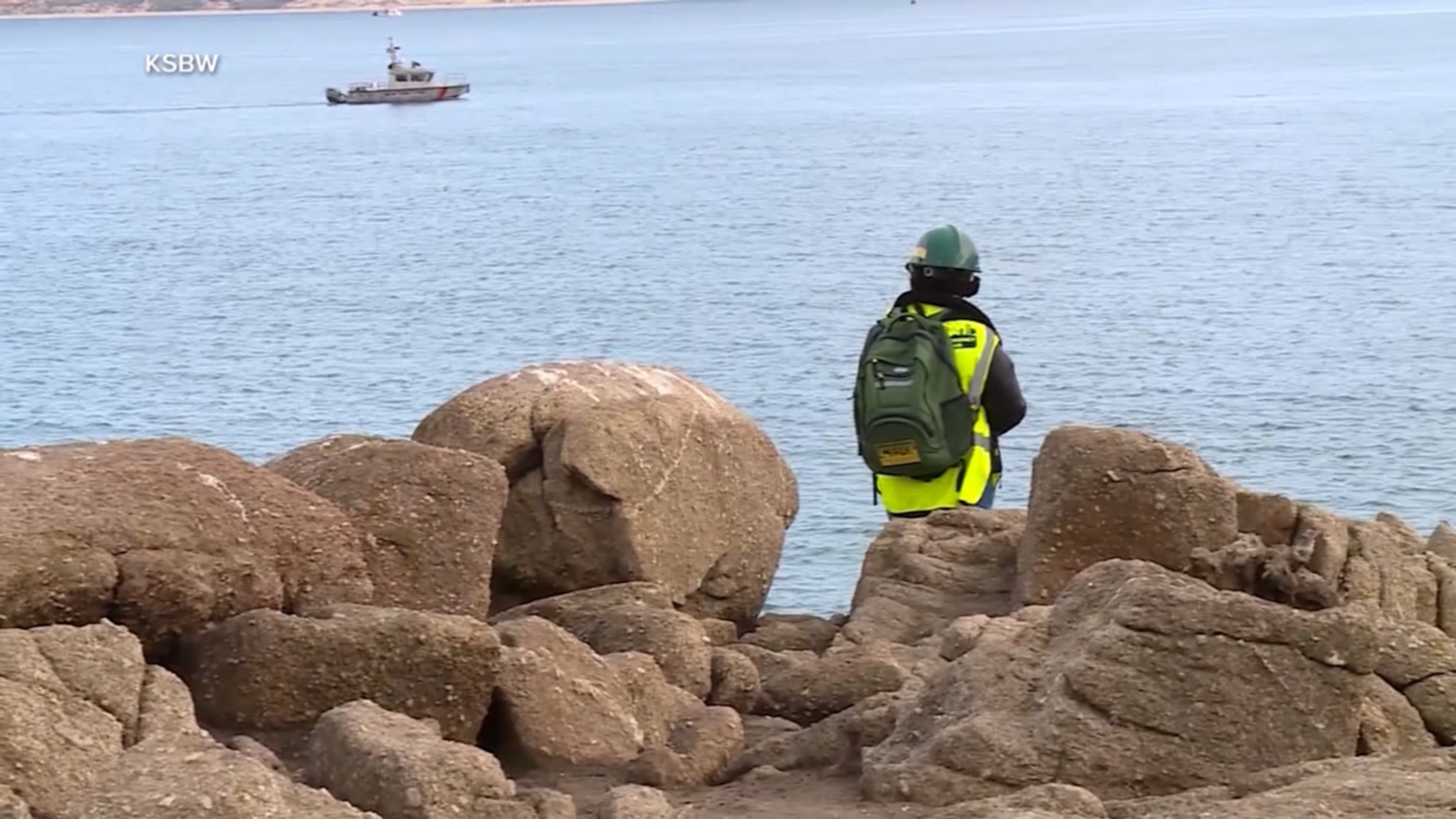 Search for missing swimmer in possible shark attack
