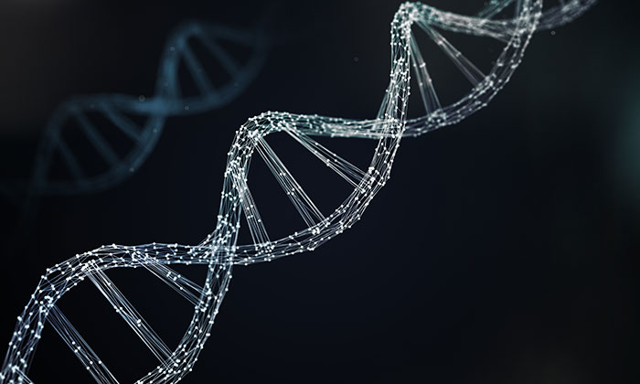 Folks Who’ve Done A DNA Test Share What They’ve Learned, Here Are The 82 Most Interesting Stories
