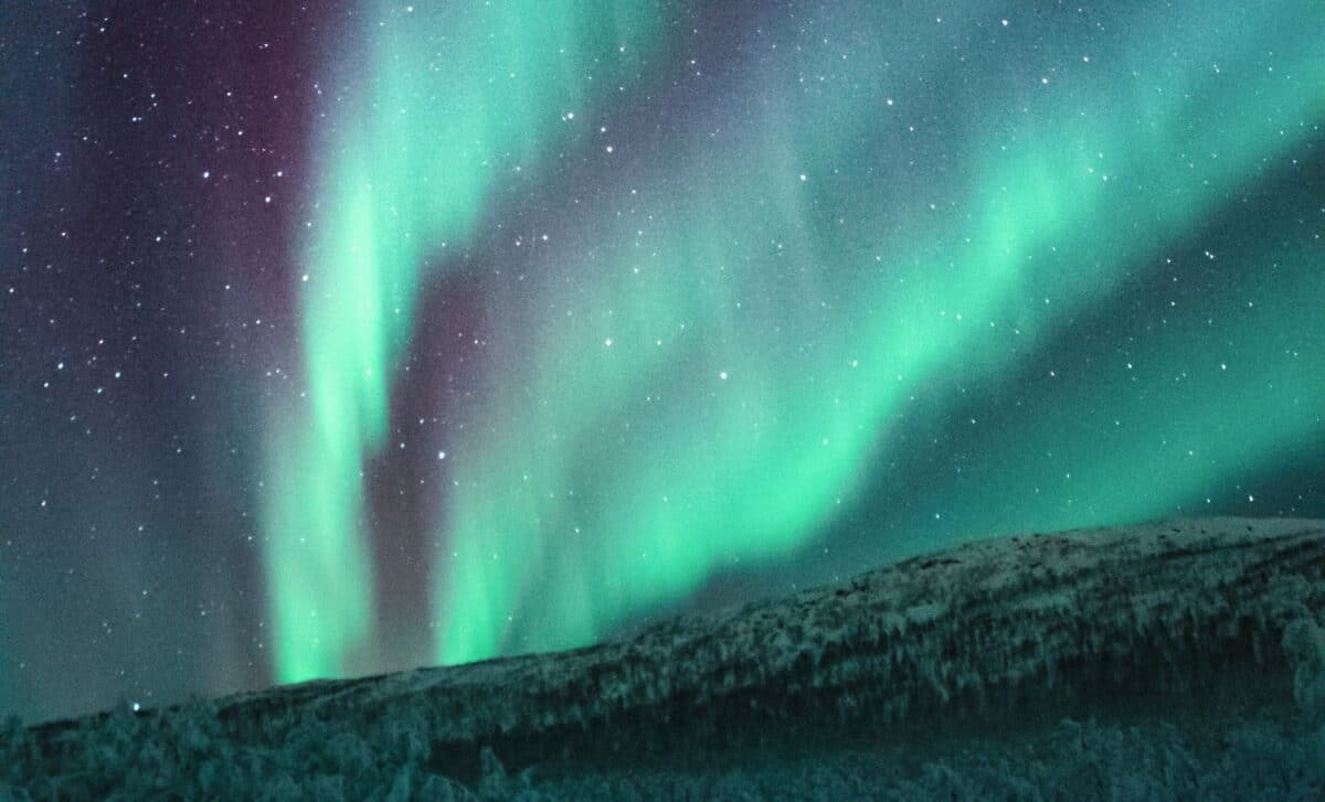 Don't miss the northern lights tonight, here's where and when to watch!