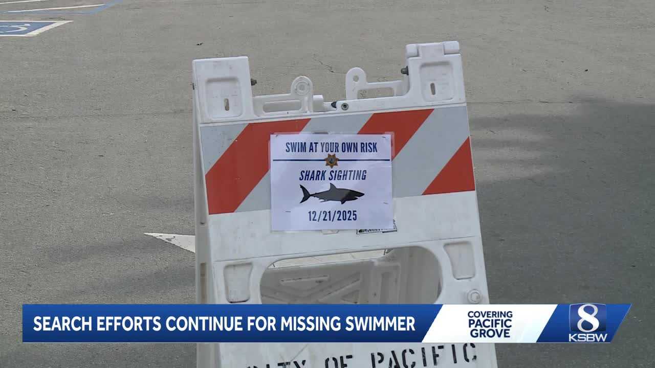 Witness reports shark with body in mouth before swimmer vanishes in ...