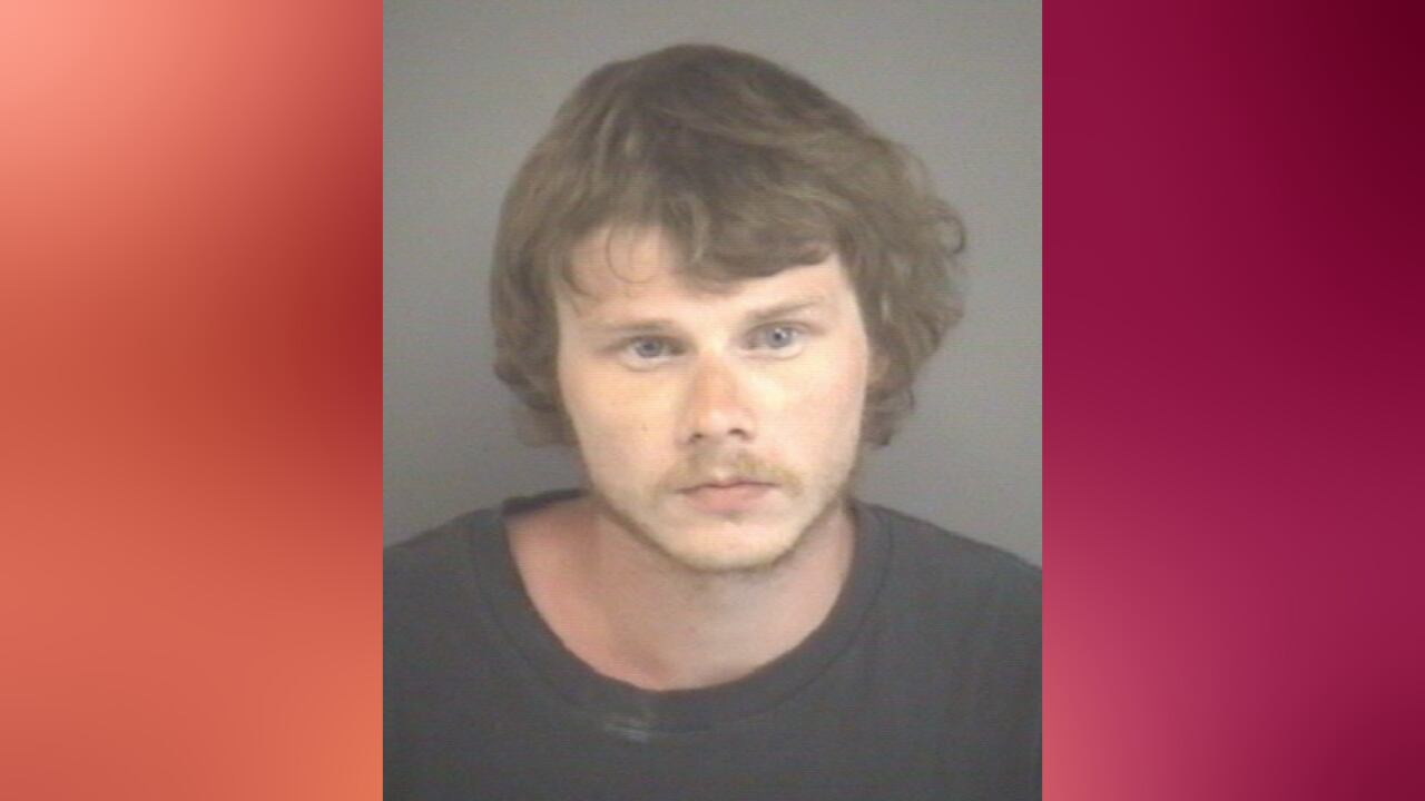 Staunton man sentenced after pleading guilty to murder, child abuse charges