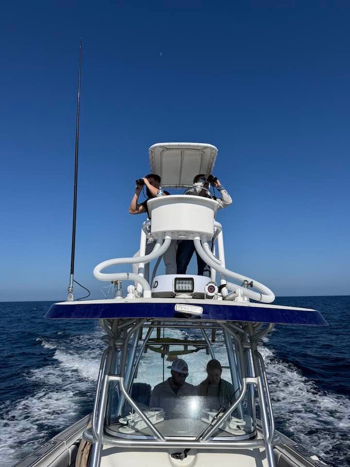 Volunteers search for Randy Spivey and Brandon Billmaier on Dec. 21, 2025, approximately 70 miles off the coast of Naples, Florida.
