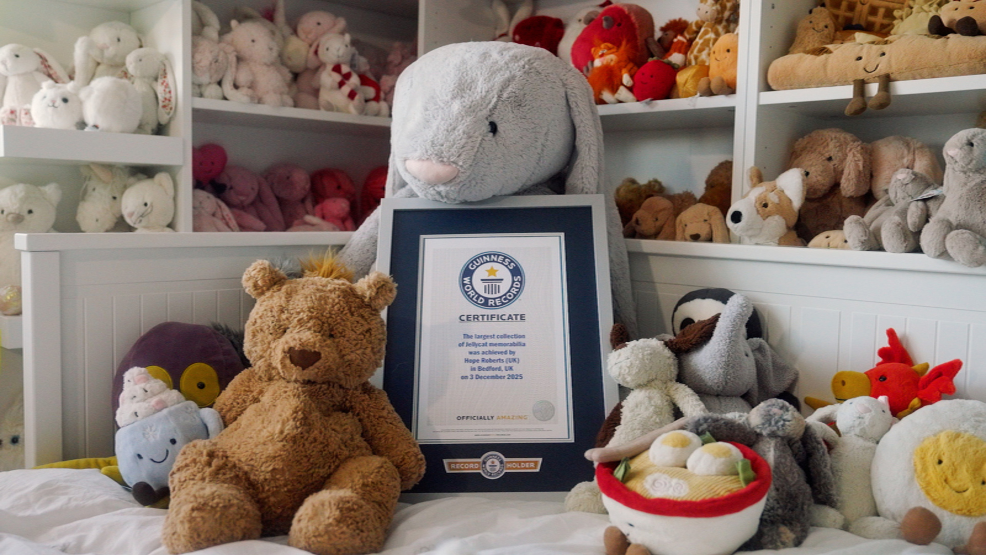 Largest collection of Jellycat memorabilia 877 items by Hope Roberts