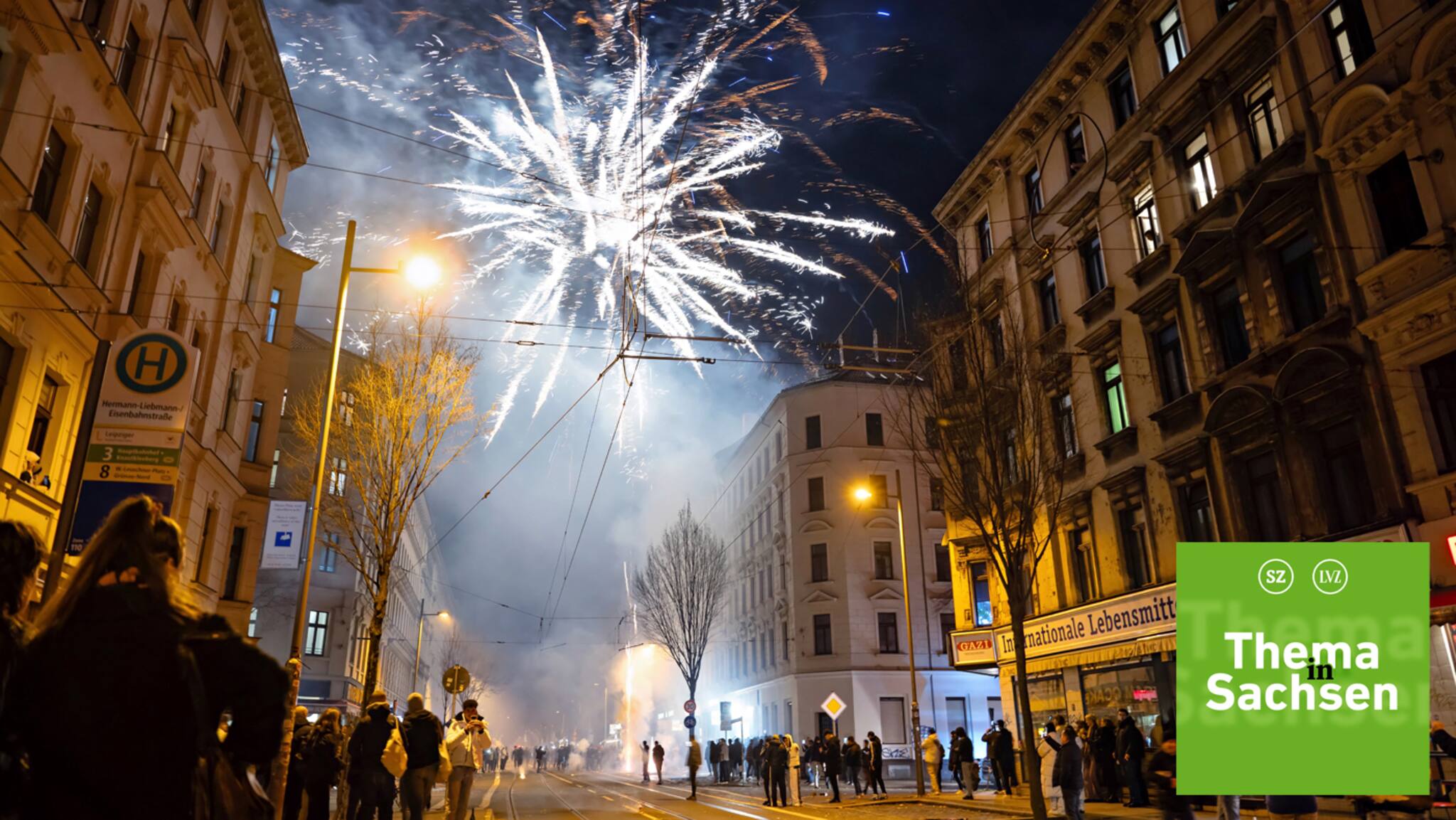 Lowe Und Wassermann Ein Feuerwerk Der Gegensatze Oder Doch Die Perfekte Symbiose