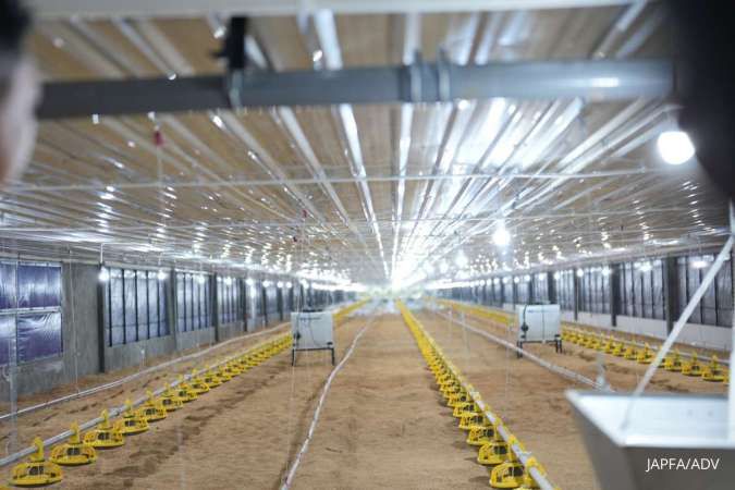 Harga ayam hidup melonjak, laba Japfa Comfeed (JPFA) diprediksi meningkat tajam