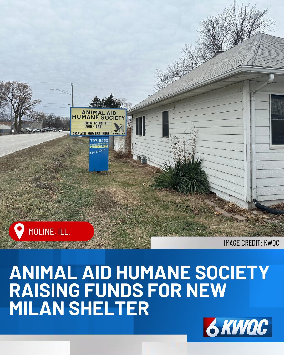 Animal Aid Humane Society raising funds for new Milan shelter