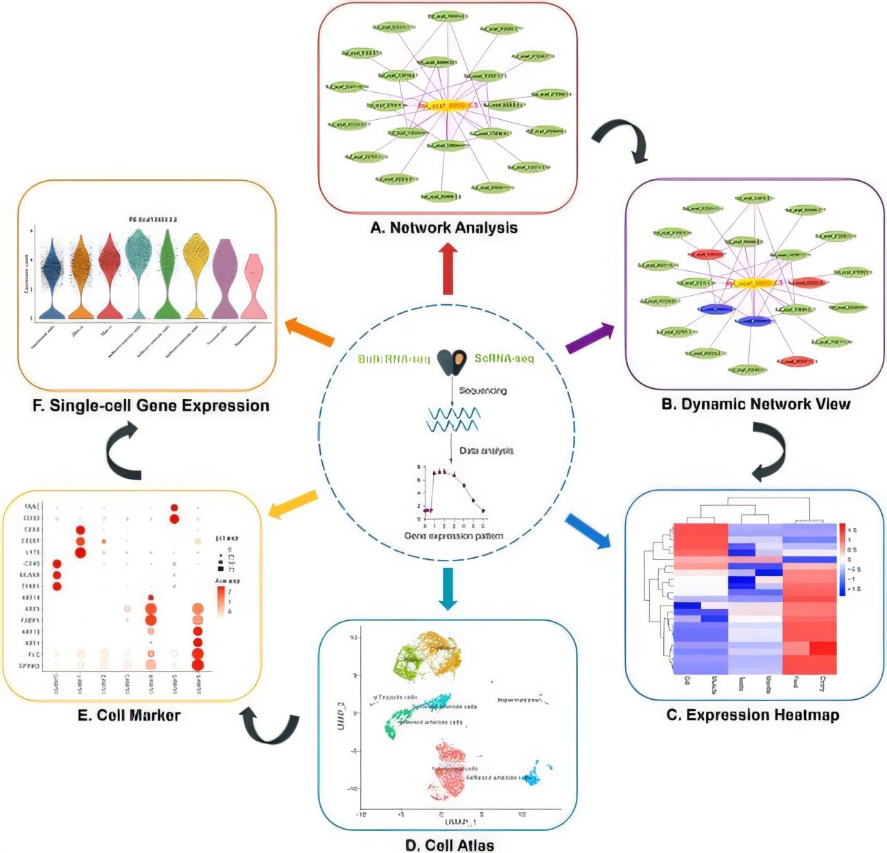 Database integrates deep-sea multi-omics data to study adaptation in ...