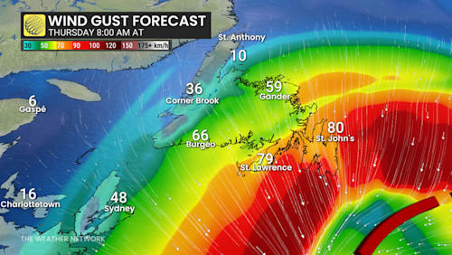 Christmas Day winter storm threatens travel, outages in Newfoundland